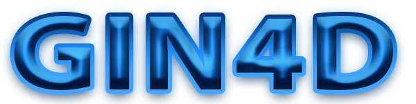 GIN4D Logo
